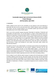 project manager description